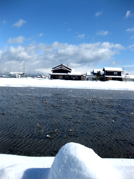 雪の峠は越えて・・冬晴れの碧