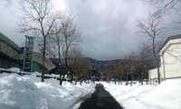 雪の峠は越えて・・冬晴れの碧