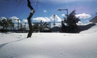 雪の峠は越えて・・冬晴れの碧