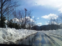 雪の峠は越えて・・冬晴れの碧