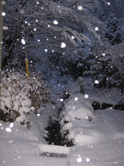 朝・積雪２５ｾﾝﾁ程・・まだ降ってます
