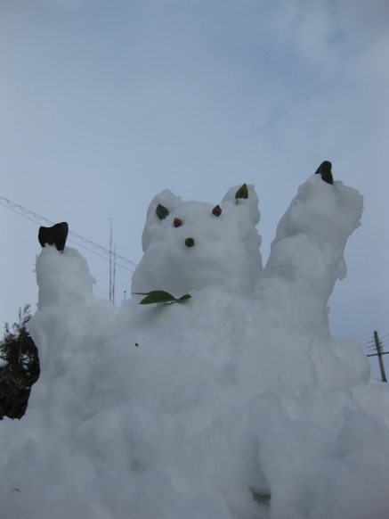 雪ネタばかりで・・雪ウサギ？？