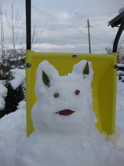 雪ネタばかりで・・雪ウサギ？？