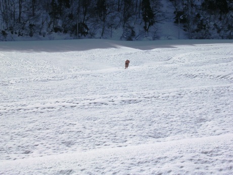 箱館そば「鴫野」で悪鬼払い・・在原の雪