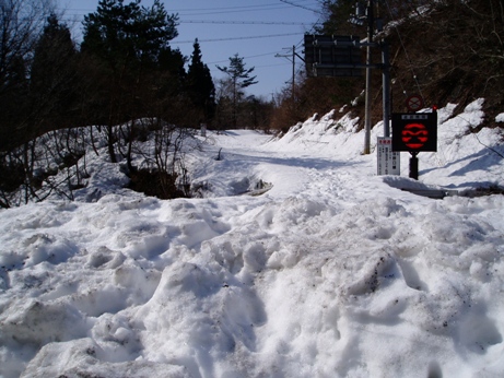 残雪