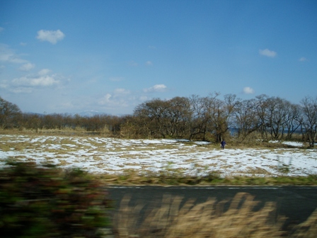 お正月らしく・・雪模様