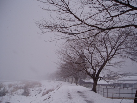 お正月らしく・・雪模様