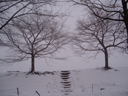 お正月らしく・・雪模様