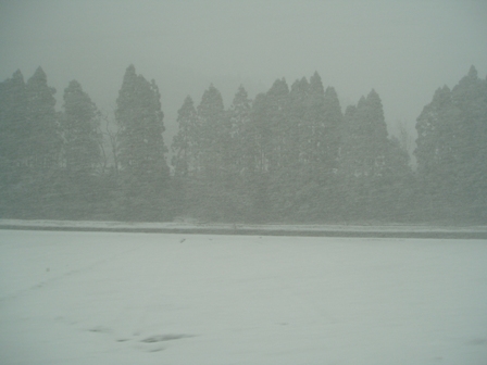 お正月らしく・・雪模様