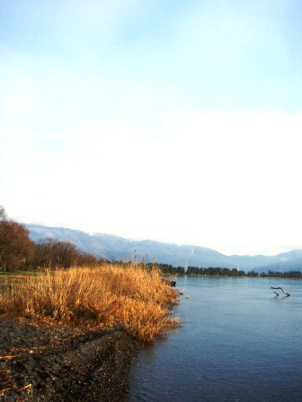 朝靄・びわ湖