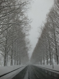 強風、降雪、晴れたり・・
