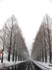 強風、降雪、晴れたり・・