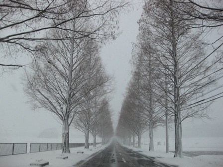 強風、降雪、晴れたり・・