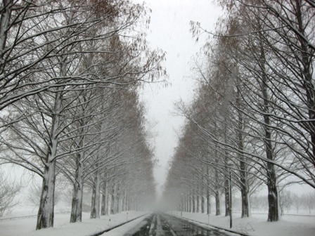 強風、降雪、晴れたり・・