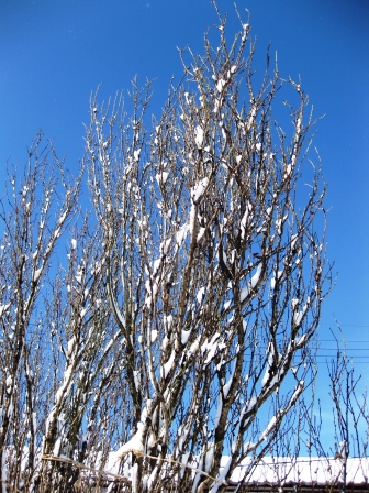 強風、降雪、晴れたり・・