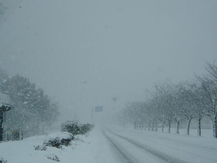 雪雲の境目・・高島市内