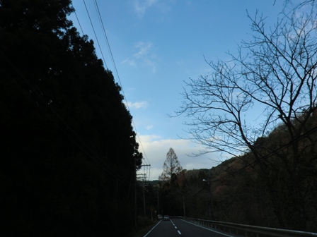 国道３０３号線