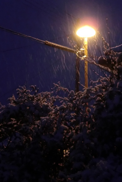 早朝は・・まだ雪がﾁﾗﾁﾗ