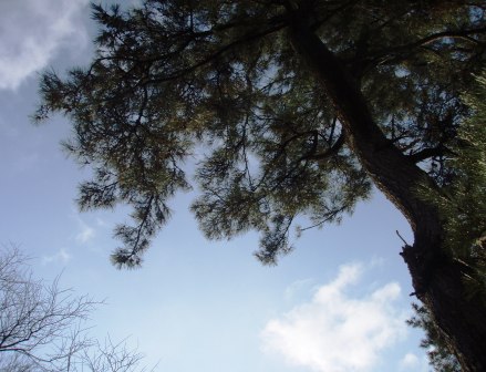 3月最後の琵琶湖・朝