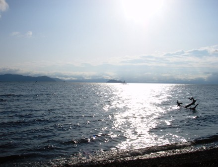 3月最後の琵琶湖・朝