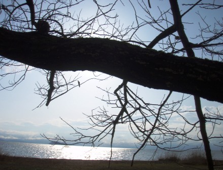 3月最後の琵琶湖・朝