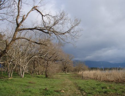3月最後の琵琶湖・朝