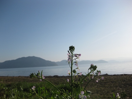 晴天・・琵琶湖