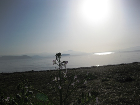 晴天・・琵琶湖