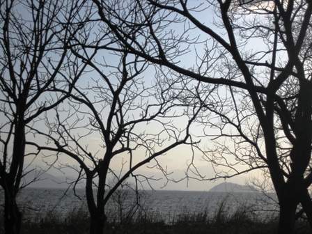 弥生３月・・琵琶湖岸も