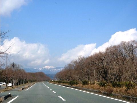 年度末・・微妙に晴れて