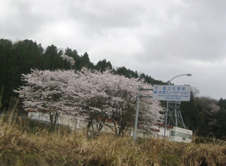 高島市内ちょこっとグルリ・・