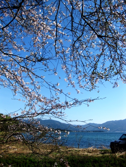 今日の一日･･琵琶湖