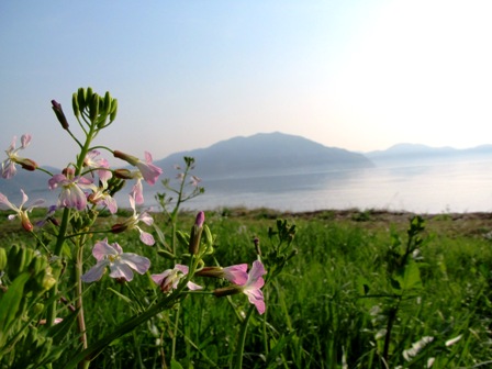 琵琶湖風景・・一日