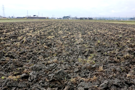 ４月１日・・田んぼの水路
