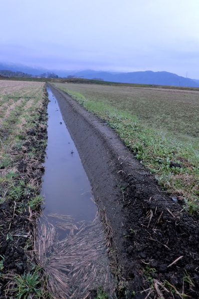 ４月１日・・田んぼの水路