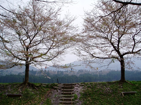 雨で一日でした・・朽木
