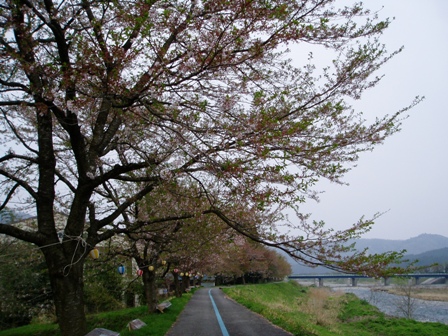 雨で一日でした・・朽木
