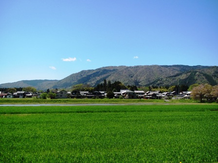 快晴で、田植え始まり・・琵琶湖、ｵﾆｸﾞﾙﾐ、麦