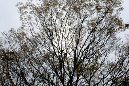 今日も暑くなって…