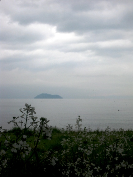 昭和の日・・雨の朝