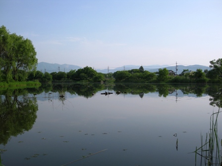 甲羅干し