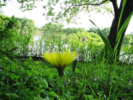 身近な・・いつもの・・朝風景・・