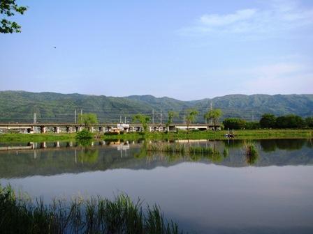 身近な・・いつもの・・朝風景・・