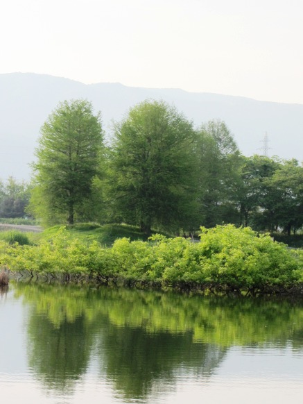 高島市の物産・・「高島屋」で