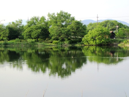 高島市の物産・・「高島屋」で