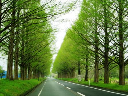 皐月の初日･･高島市内