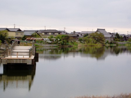 皐月の初日･･高島市内