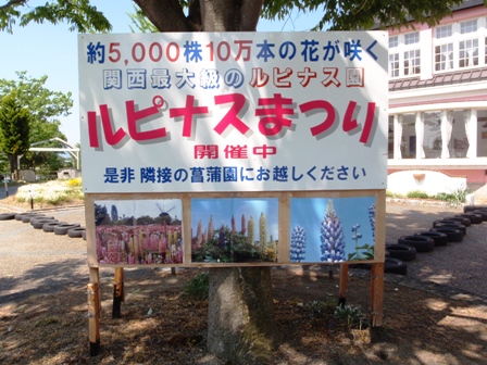 新旭風車村