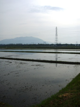 田園もびわ湖も・モヤッツ