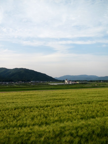トトロと夕暮れで・・